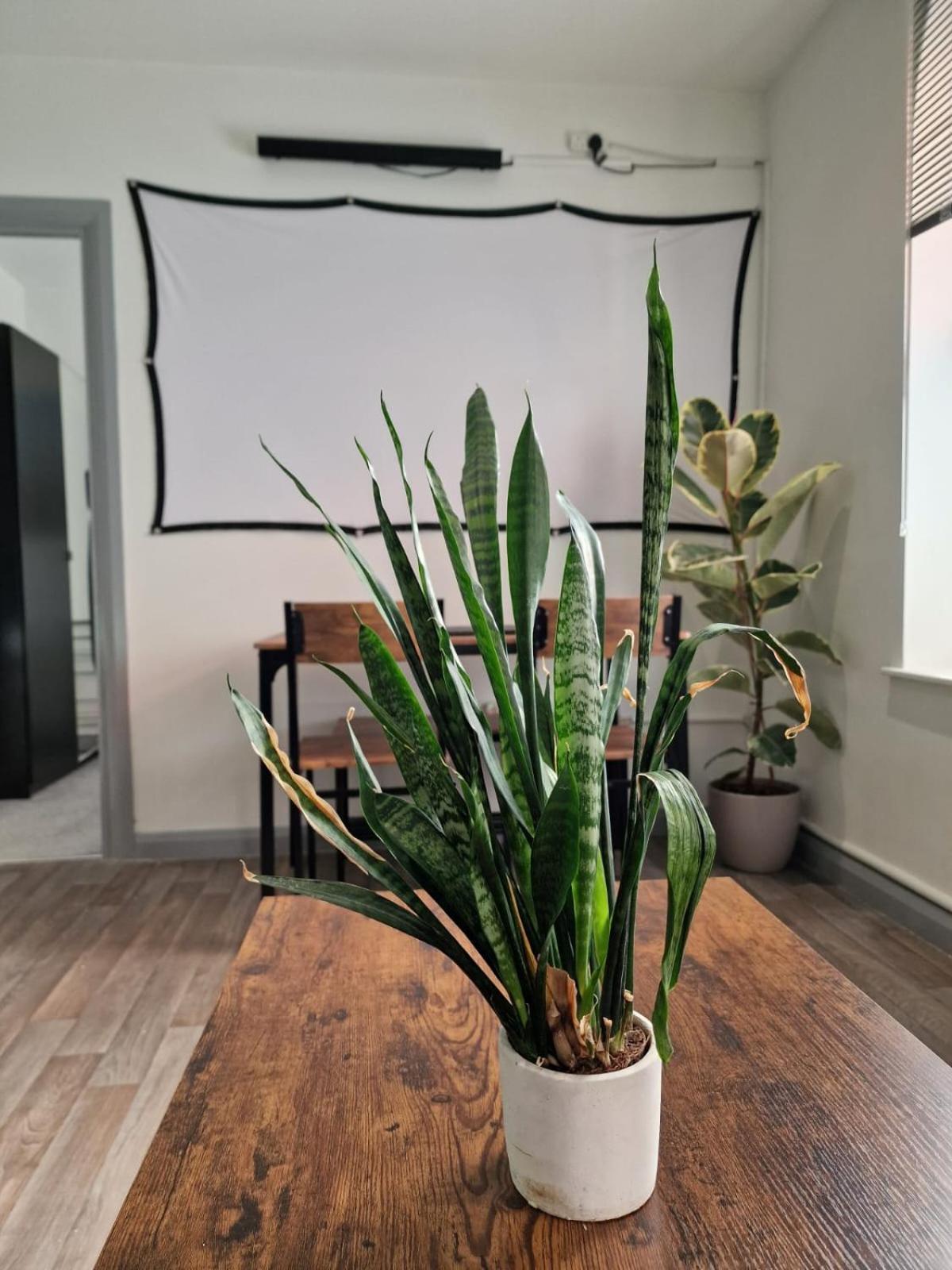 נורת'המפטון Smart Town Centre Apartments מראה חיצוני תמונה
